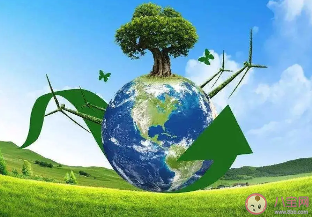 世界環境日手抄報模板合集  世界環境日手抄報內容素材大全