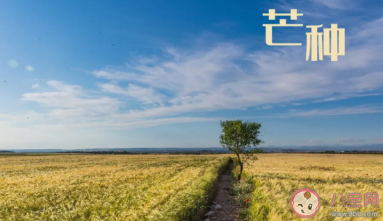 關于芒種節氣的古詩有哪些 描寫芒種古詩詞大全