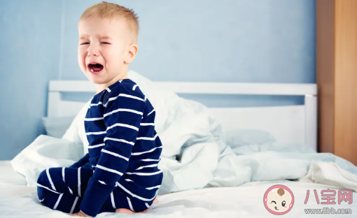 寶寶夏季過敏的常見癥狀 夏季的過敏原有哪些