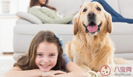 預防寶寶過敏家中清潔怎么做 預防寶寶過敏方法