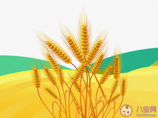 2020芒種節氣文案配圖 2020芒種節氣很火的朋友圈文案