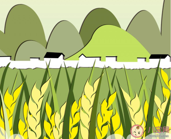 2020芒種節氣文案配圖 2020芒種節氣很火的朋友圈文案