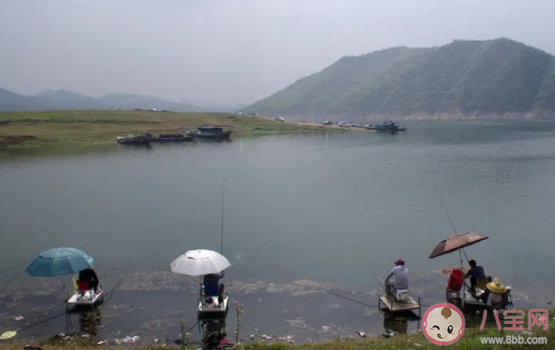 抖音釣魚是什么意思 釣魚梗的出處是什么 抖音釣魚是什么意思 釣魚梗的出處是什么