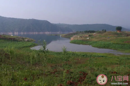 抖音釣魚是什么意思 釣魚梗的出處是什么 抖音釣魚是什么意思 釣魚梗的出處是什么