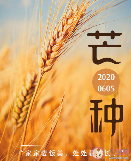 今日芒種節(jié)氣發(fā)朋友圈文案句子 適合芒種發(fā)的朋友圈說(shuō)說(shuō)