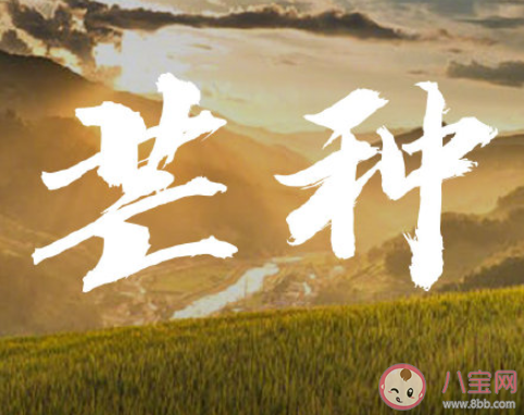 2020芒種節(jié)氣唯美說說短句 2020芒種節(jié)氣暖心祝福語文案說說