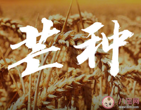 2020芒種節(jié)氣唯美說說短句 2020芒種節(jié)氣暖心祝福語文案說說