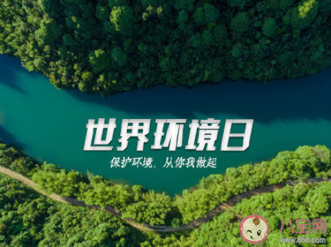 2020世界環(huán)境日宣傳標語口號大全 2020世界環(huán)境日保護環(huán)境的標語30句