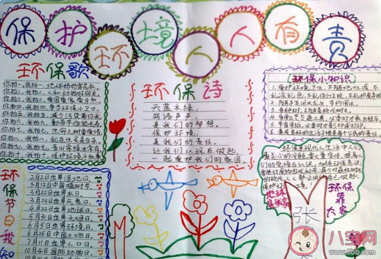 世界環境日保護環境的手抄報素材合集 世界環境日小學生手抄報大全