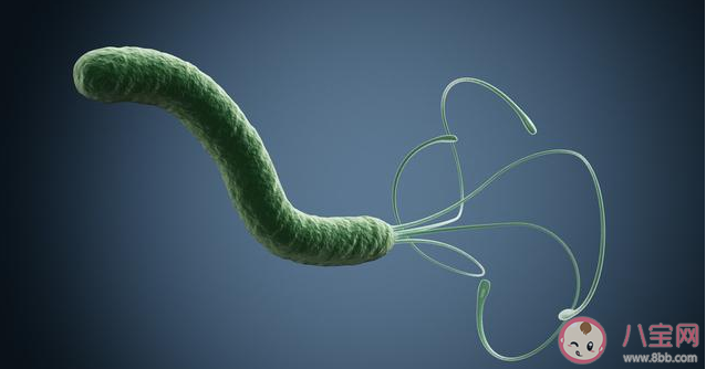 接吻會感染幽門螺旋桿菌嗎 怎么知道是不是有幽門螺旋桿菌 接吻會感染幽門螺旋桿菌嗎 怎么知道是不是有幽門螺旋桿菌