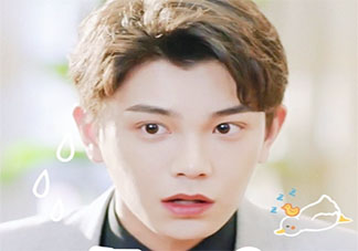 端水藝術家是什么意思什么梗 端水藝術家是什么意思梗的出處是什么