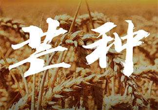 2020芒種節(jié)氣唯美說說短句 2020芒種節(jié)氣暖心祝福語文案說說