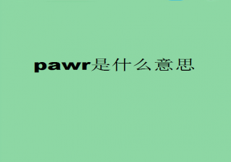 pawr是什么意思什么梗 pawr都給你有什么含義出處是什么