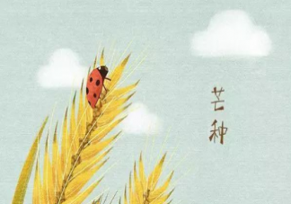 2020芒種養(yǎng)生要注意什么 關(guān)于芒種養(yǎng)生6條建議