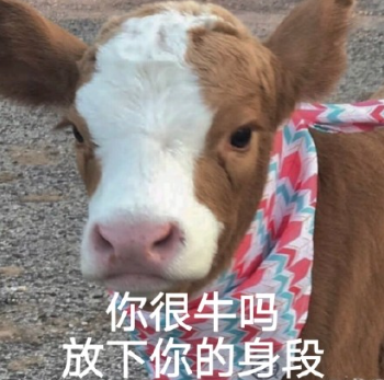 你很身段嗎?放下你的牛是什么意思 你很身段嗎?放下你的牛梗的出處是什么
