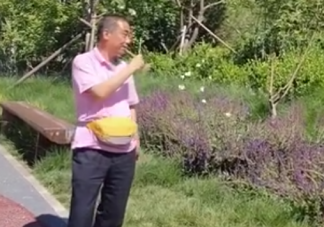 沒(méi)想到蝴蝶也能溜是什么梗   為什么蝴蝶會(huì)被紙蝴蝶吸引