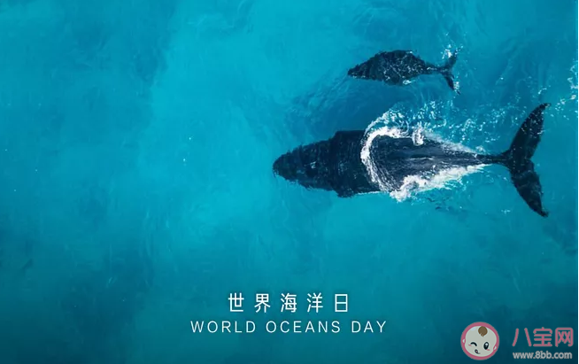 2020世界海洋日主題是什么 世界海洋日主題內容
