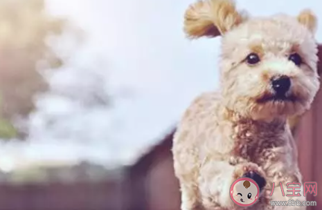 微信號怎么改漂亮又好記 2020獨一無二微信號名字大全 微信號怎么改漂亮又好記 2020獨一無二微信號名字大全