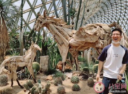 2020疫情后第一次出去玩心情說說 疫情第一次出來的玩文案句子