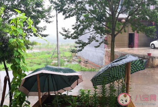 2020下暴雨微信朋友圈說說 下暴雨心情感言句子