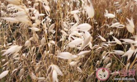 女性的生育自由是怎樣的 生育自由的重要性