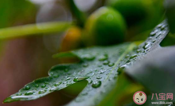 每天下雨該怎么發(fā)朋友圈 天天下雨好煩的朋友圈說說