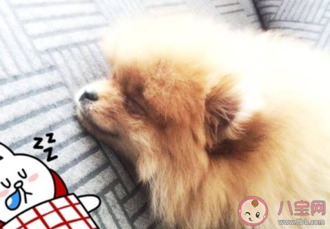 午休總是睡不著怎么辦 午休怎樣才能入睡 午休總是睡不著怎么辦 午休怎樣才能入睡