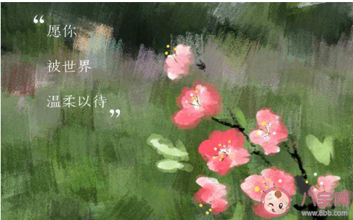 溫柔干凈且無關愛情的句子大全 溫柔干凈的朋友圈唯美文案說說