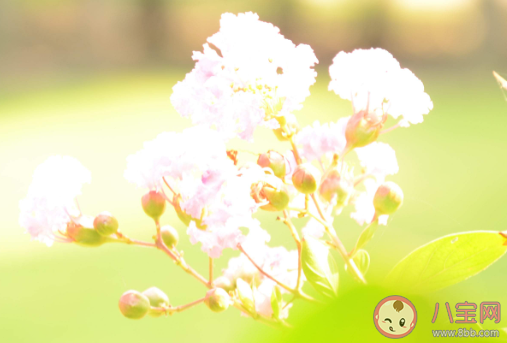 溫柔干凈且無關愛情的句子大全 溫柔干凈的朋友圈唯美文案說說