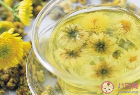 夏天適合喝什么花茶 夏天喝花茶好還是綠茶好