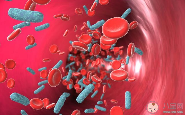 寶寶為什么會得敗血癥 如何預防新生兒敗血癥