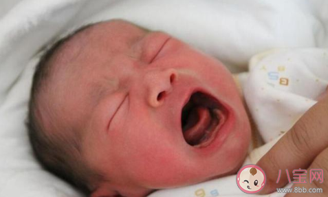 孩子真的有宮內(nèi)記憶嗎 如何利用宮內(nèi)記憶教育孩子