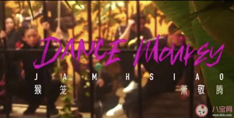 蕭敬騰猴籠抖肩神曲改編自什么歌曲 猴籠完整版歌詞分享