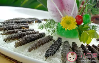 四川人對(duì)美食的最高評(píng)價(jià)是什么 四川美食大全 四川人對(duì)美食的最高評(píng)價(jià)是什么 四川美食大全