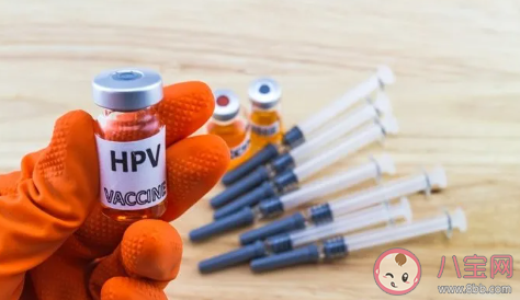 二價四價九價打哪種比較合適 如何選擇HPV疫苗 二價四價九價打哪種比較合適 如何選擇HPV疫苗
