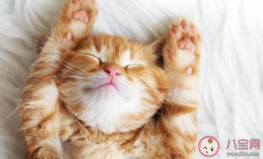 熬夜后第二天如何補救 熬夜后的養生補救方法