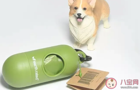 養狗和養貓哪個更花錢 養狗養貓哪個更好 養狗和養貓哪個更花錢 養狗養貓哪個更好