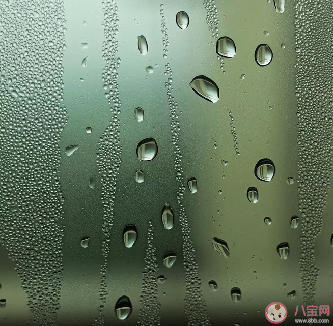 2020梅雨季節是什么時候 梅雨季節養生要點知識