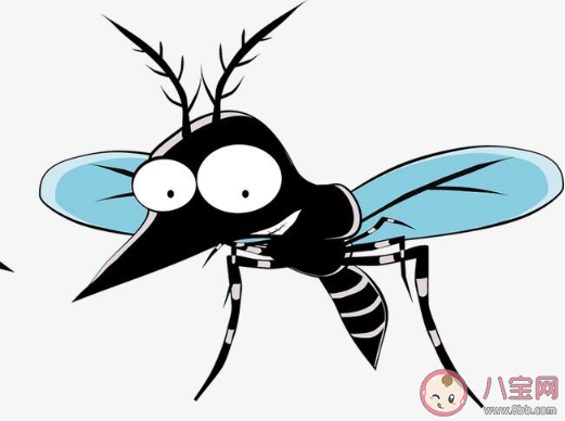 討厭夏天蚊子的說說 因為蚊子討厭夏天的說說 討厭夏天蚊子的說說 因為蚊子討厭夏天的說說