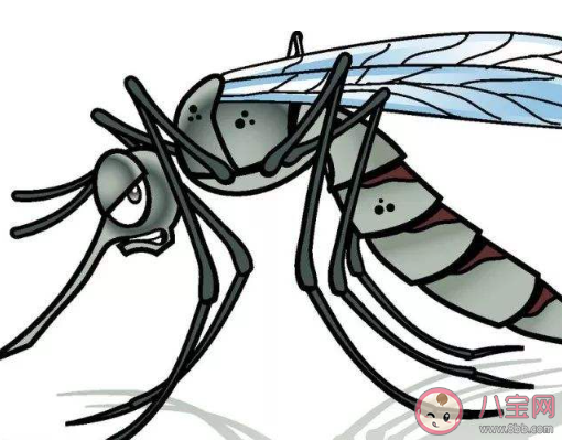 蚊子咬我的幽默說說 半夜和蚊子大戰(zhàn)的搞笑說說 蚊子咬我的幽默說說 半夜和蚊子大戰(zhàn)的搞笑說說