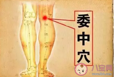 夏季為什么會濕氣重 夏季去濕氣的養生方法 夏季為什么會濕氣重 夏季去濕氣的養生方法