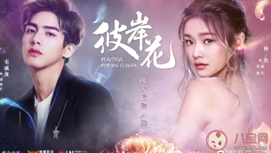 佛系追星分為哪幾類 佛系追星是怎樣的 佛系追星分為哪幾類 佛系追星是怎樣的