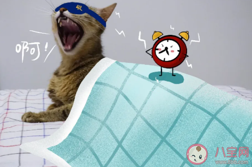 寶寶入園愛遲到有哪些影響 寶寶入園愛遲到怎么辦