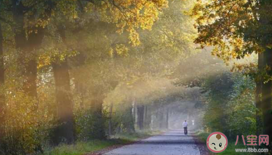 有哪些與疫情有關的作文句子 疫情相關的作文句子大全 有哪些與疫情有關的作文句子 疫情相關的作文句子大全