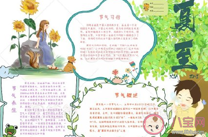 2020夏至手抄報圖片大全 簡單漂亮夏至手抄報模板