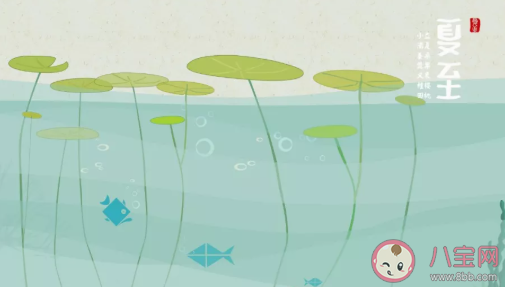 2020夏至文案怎么寫 夏至文案海報短句大全 2020夏至文案怎么寫 夏至文案海報短句大全