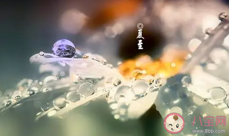 2020夏至節氣短信祝福語 夏至簡短祝福句子