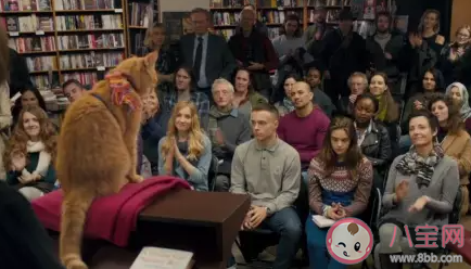 流浪貓鮑勃去世是怎么回事 流浪貓鮑勃的原型故事