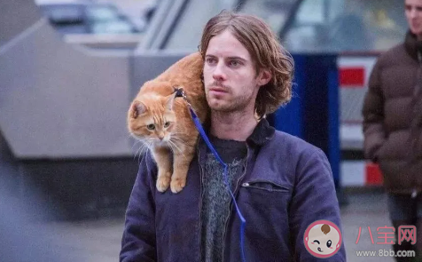 流浪貓鮑勃真主人是誰(shuí) 流浪貓鮑勃原型現(xiàn)狀 流浪貓鮑勃真主人是誰(shuí) 流浪貓鮑勃原型現(xiàn)狀