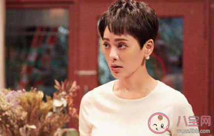 寧靜為什么說幾十年白干了 我幾十年白干了什么梗